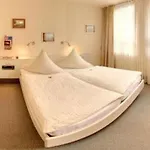 Hotel Granus